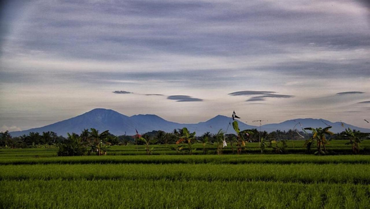 Pnb Bali Villas Canggu Kültér fotó