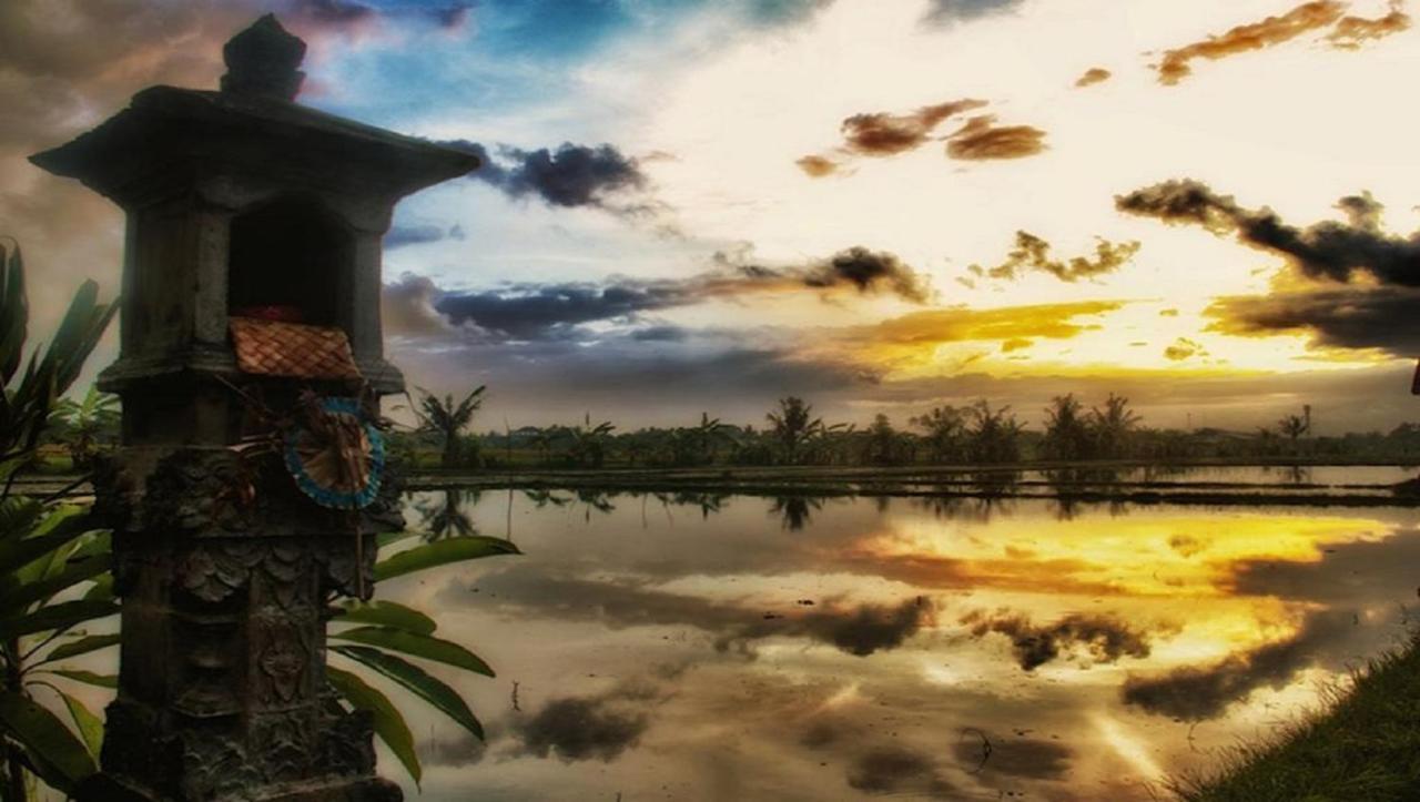 Pnb Bali Villas Canggu Kültér fotó
